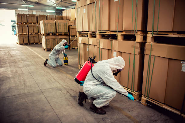 Best Fumigation Services  in Amery, WI